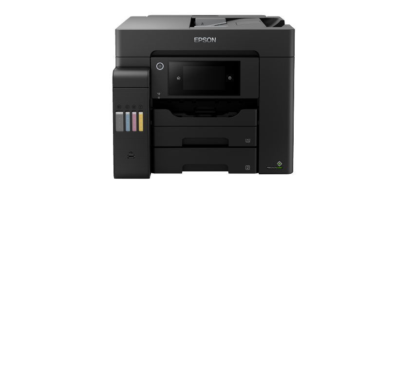 2019